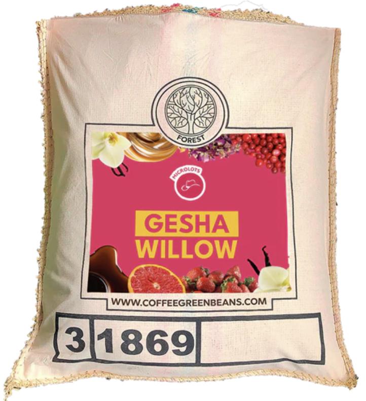 Coffee bag with 'Gesha Willow' label and branding on a white background