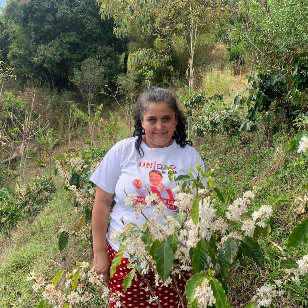 Woman standing among coffee plants in a lush green landscape