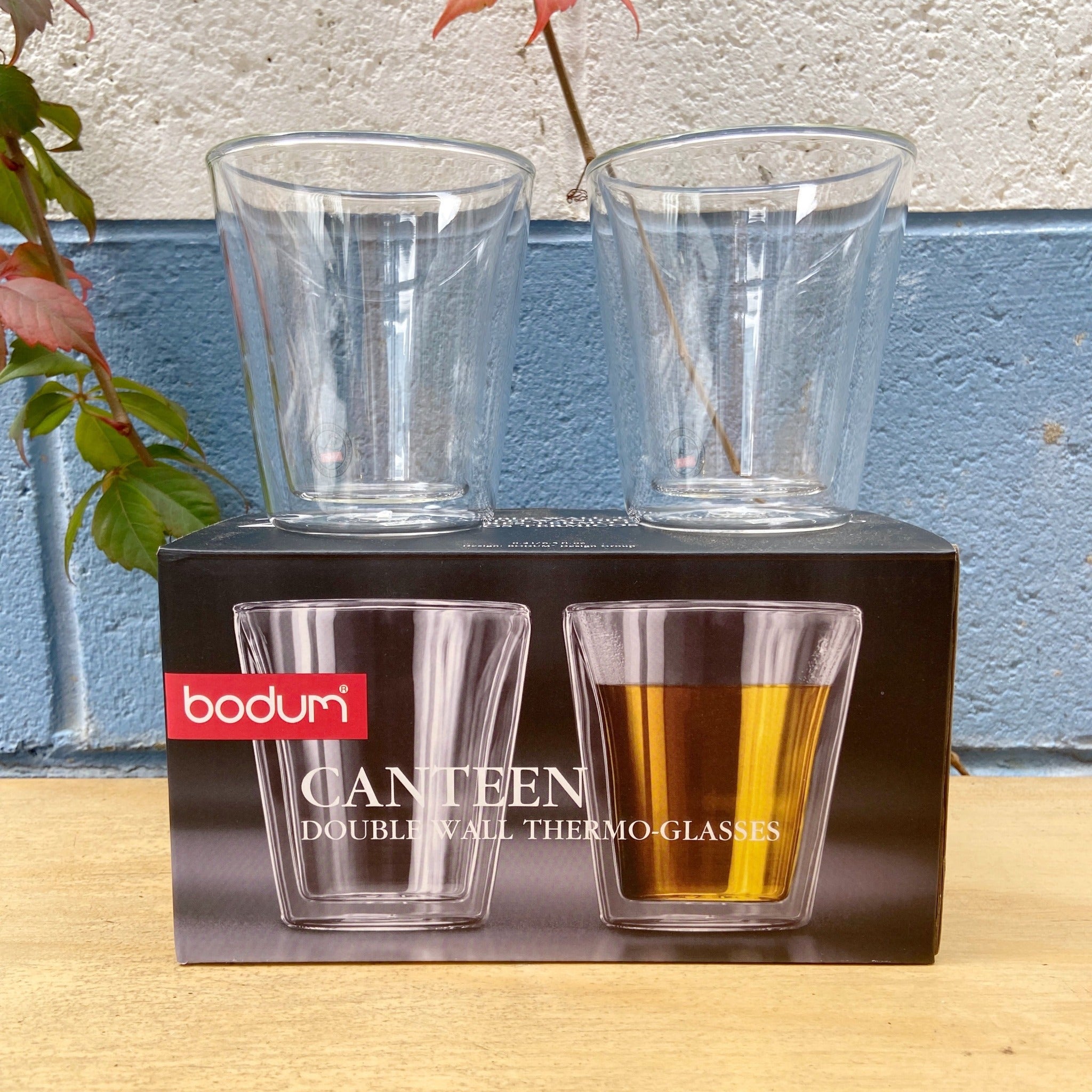 Bodum Bodum Canteen Double WallTumbler/DOF Glass, Set of 2 