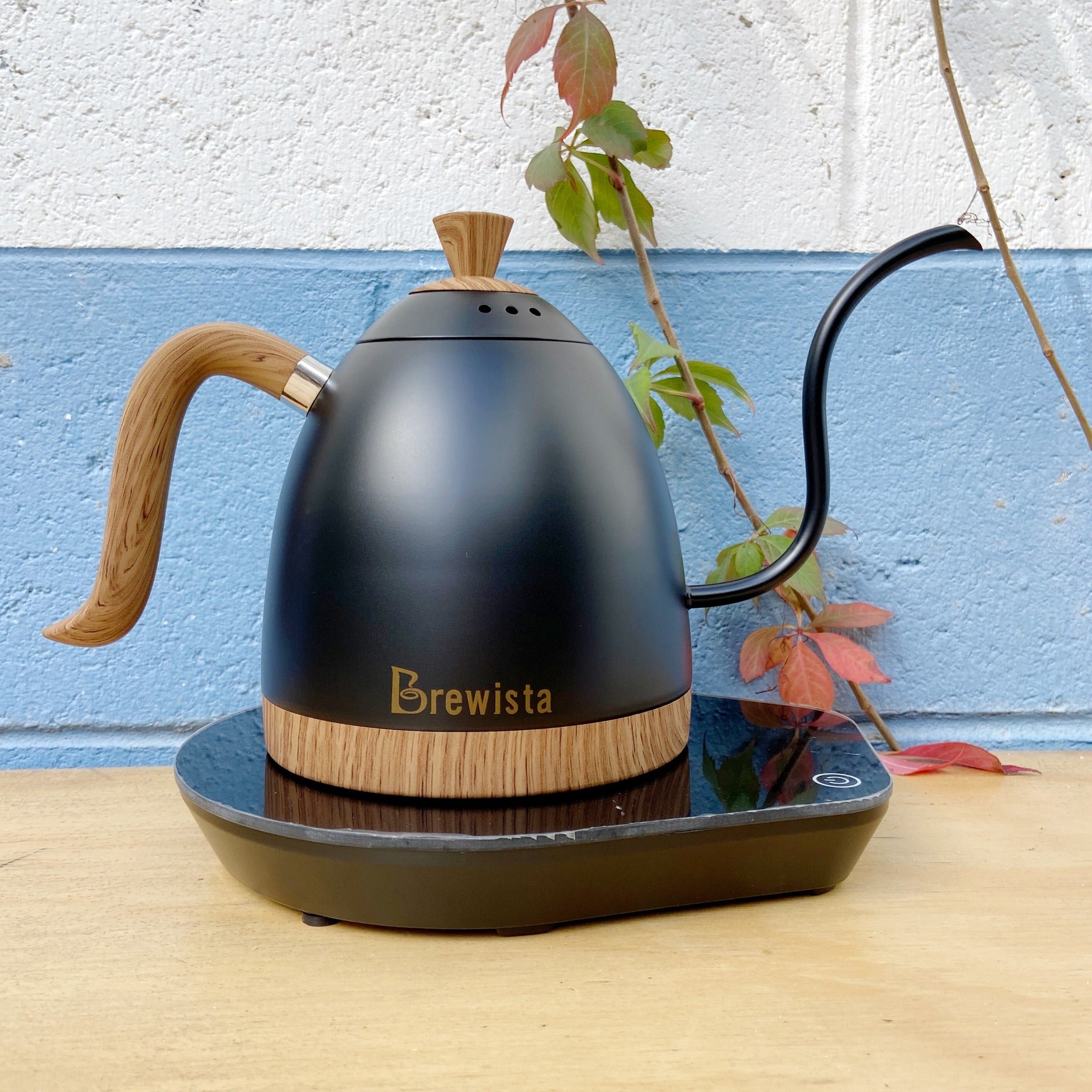 Brewista Artisan Gooseneck Kettle – Neighbourhood Coffee Roasters
