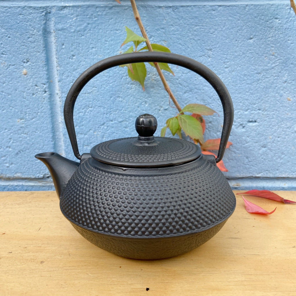 Japanese Hobnail cast iron teapot
